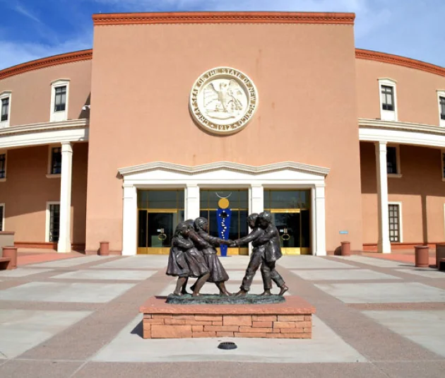 Local Government