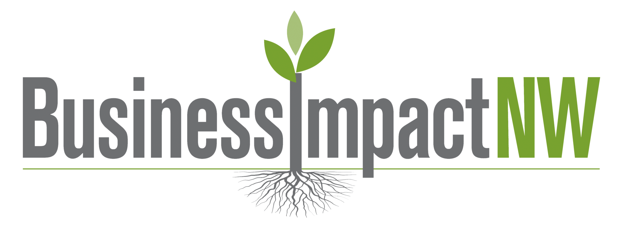 Business Impact NW