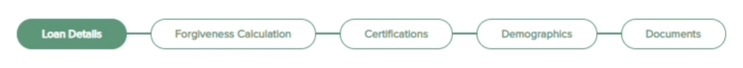 Introducing the FINSYNC PPP EZ Application 2