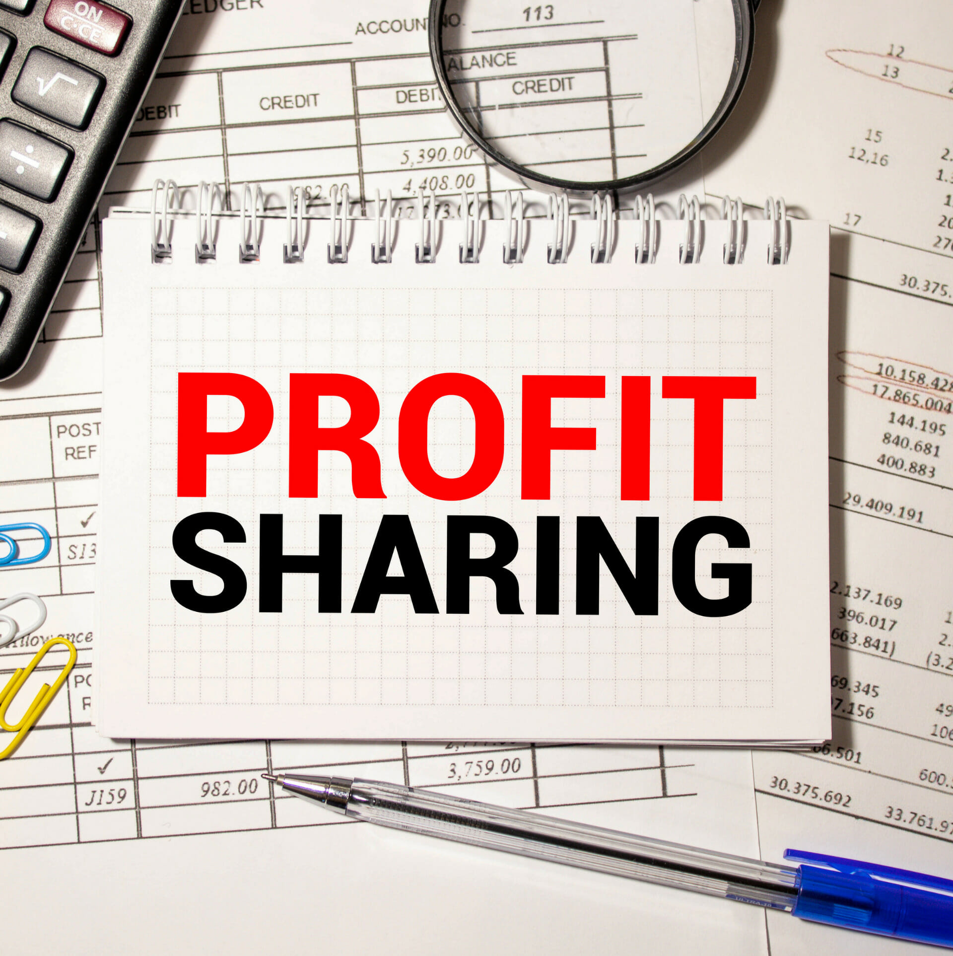 profit sharing in a business plan