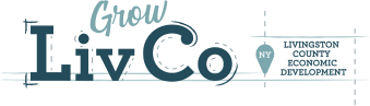 Livingston County Development Corporation
